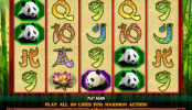 Play Slot 100 Pandas Online