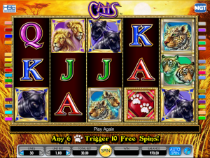 Slot Machine Cats Online