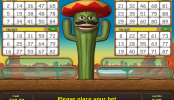 Online Crazy Cactus Slot
